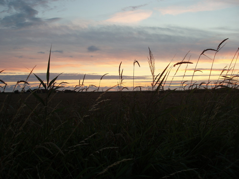 Abendstimmung im August