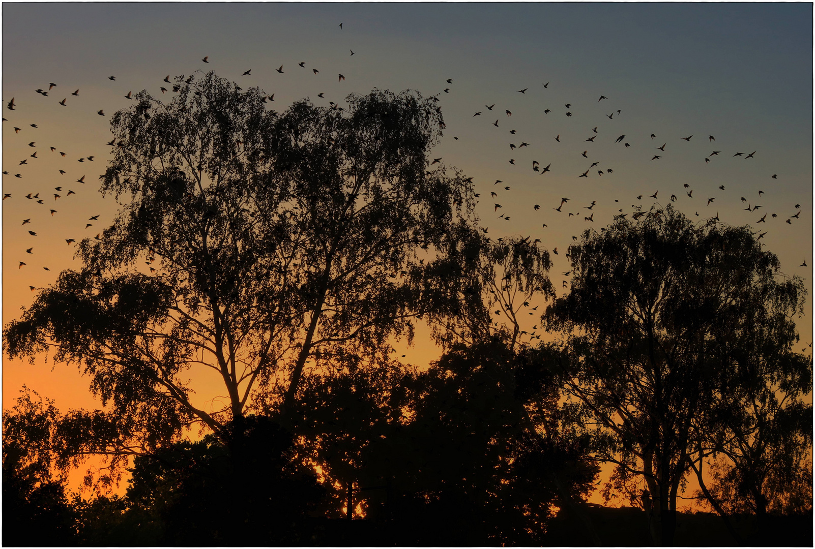 Abendstimmung im August