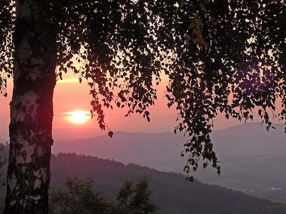 Abendstimmung im Bayerischen Wald