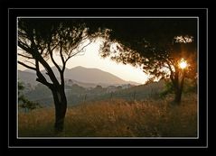 Abendstimmung im Bergdorf