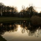 Abendstimmung im Branitzer Park