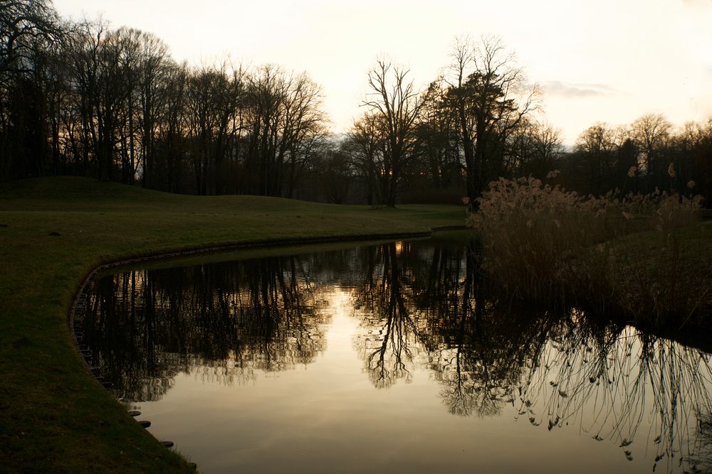 Abendstimmung im Branitzer Park