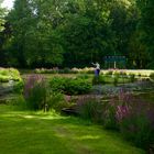 Abendstimmung im Branitzer Park