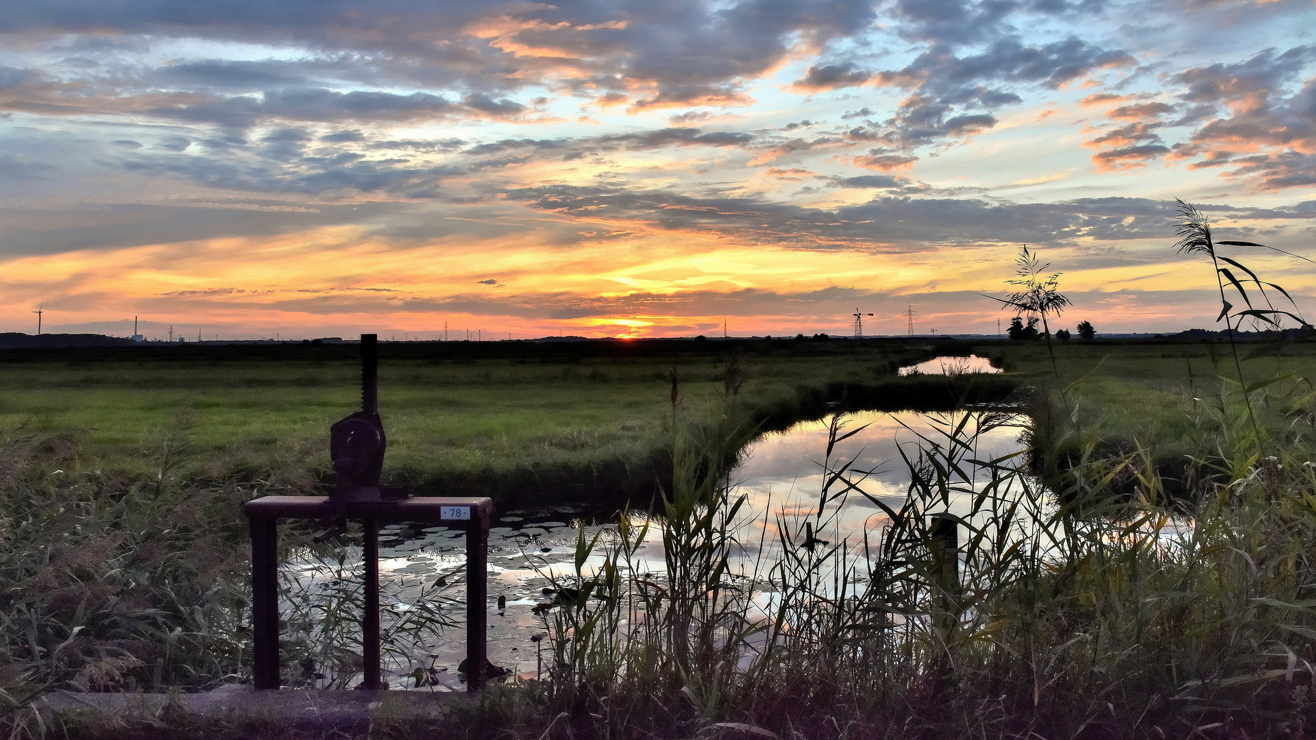 Abendstimmung im Bremer Blockland (02)