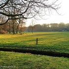 Abendstimmung im Bremer Bürgerpark