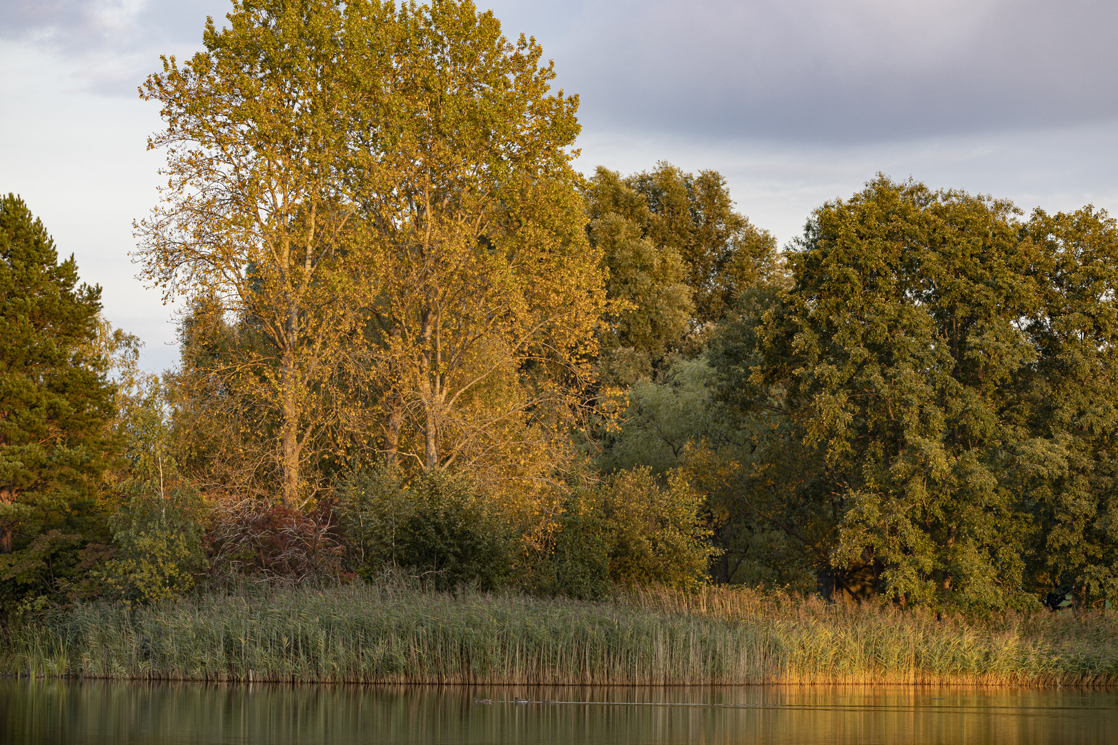 Abendstimmung im Britzer Garten 