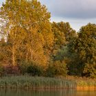 Abendstimmung im Britzer Garten 