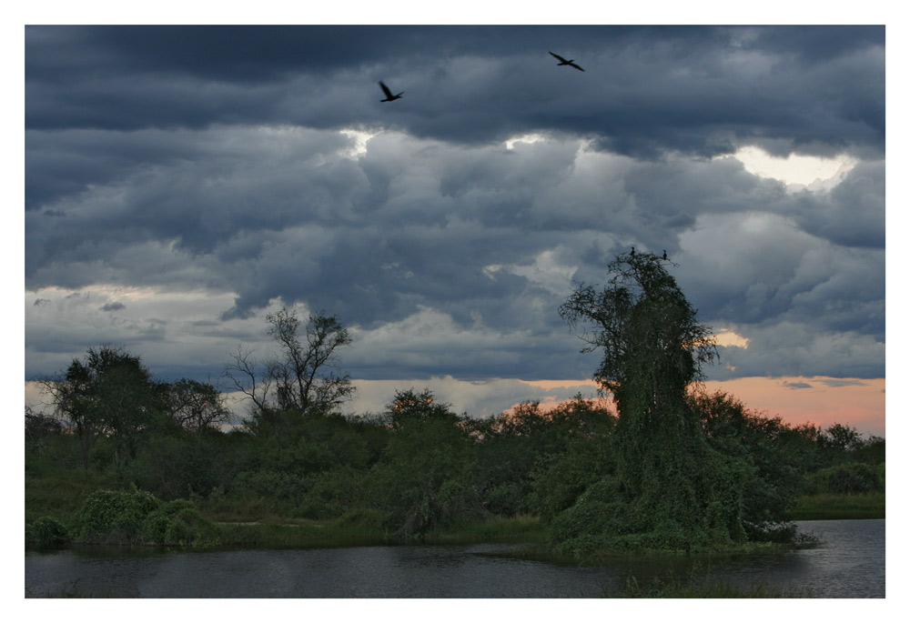 Abendstimmung im Chaco