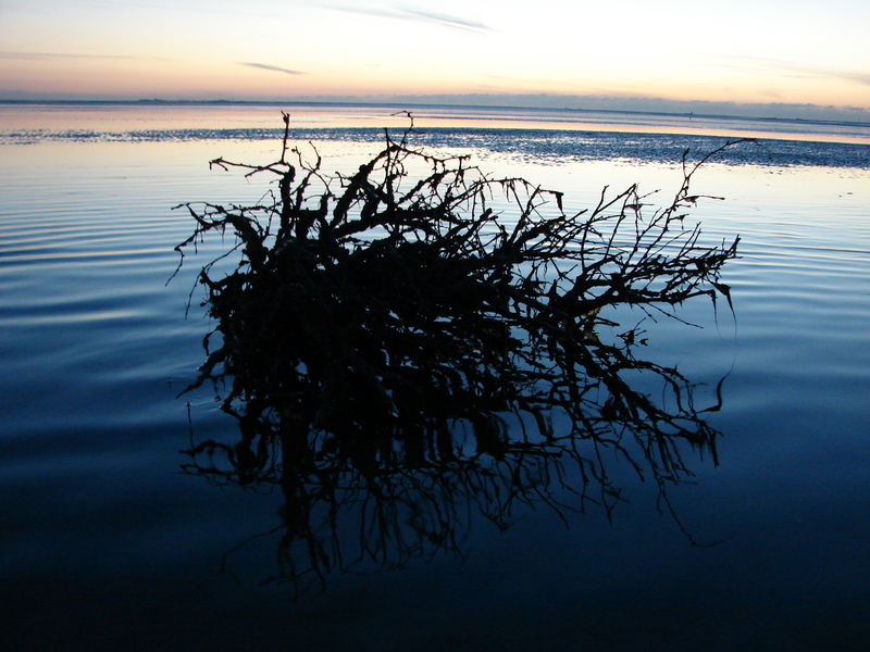 Abendstimmung im Cuxhavener Wattenmeer