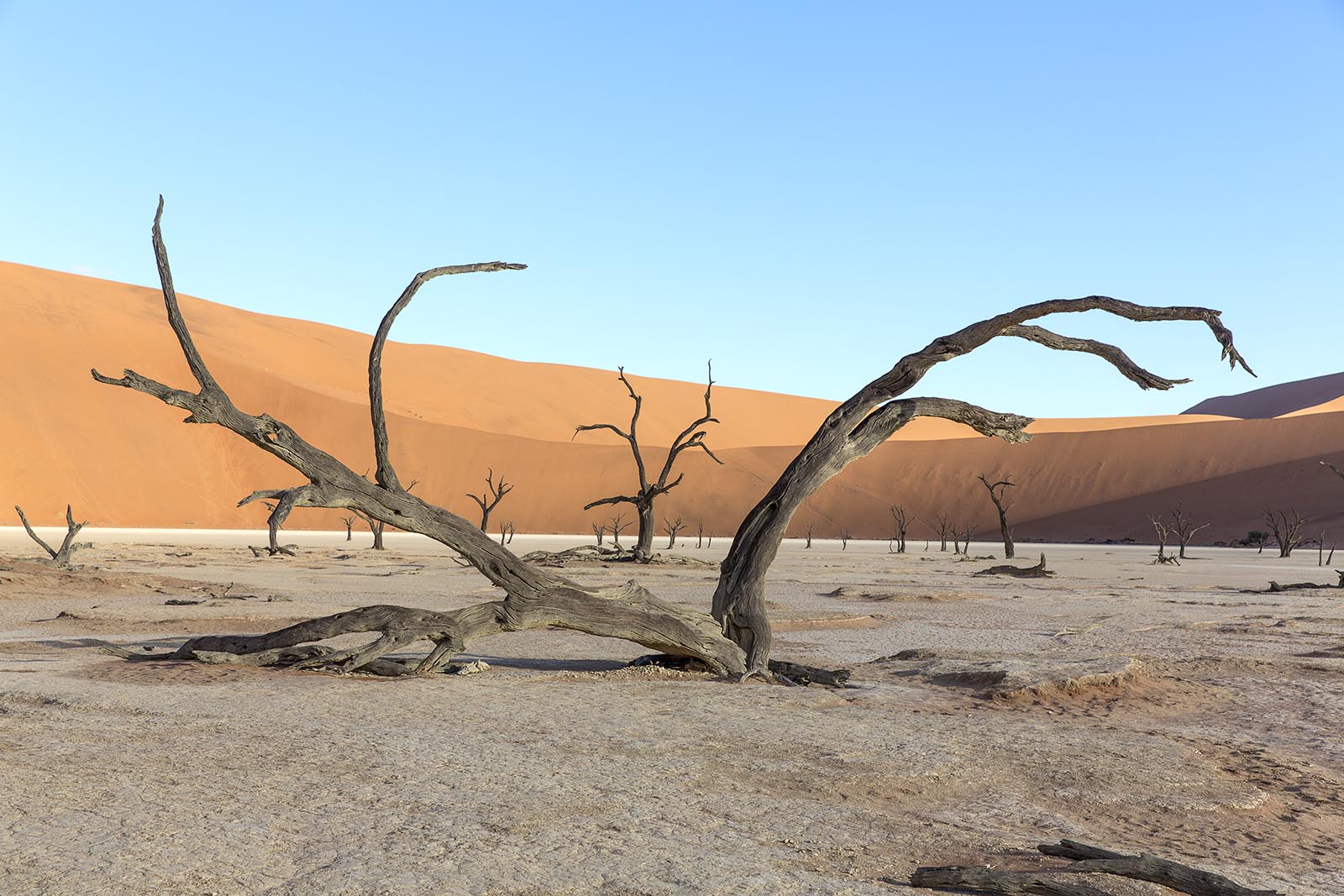 Abendstimmung im Deadvlei