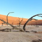 Abendstimmung im Deadvlei