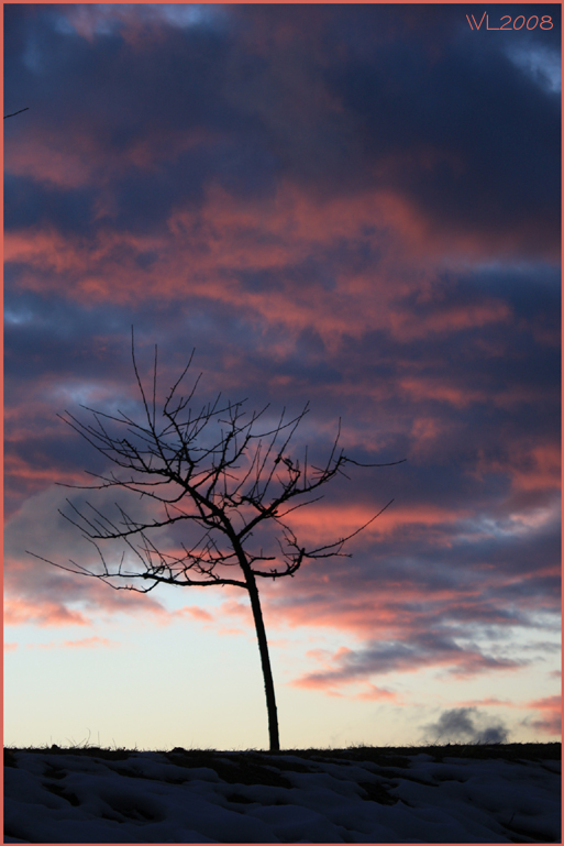 Abendstimmung im Dezember