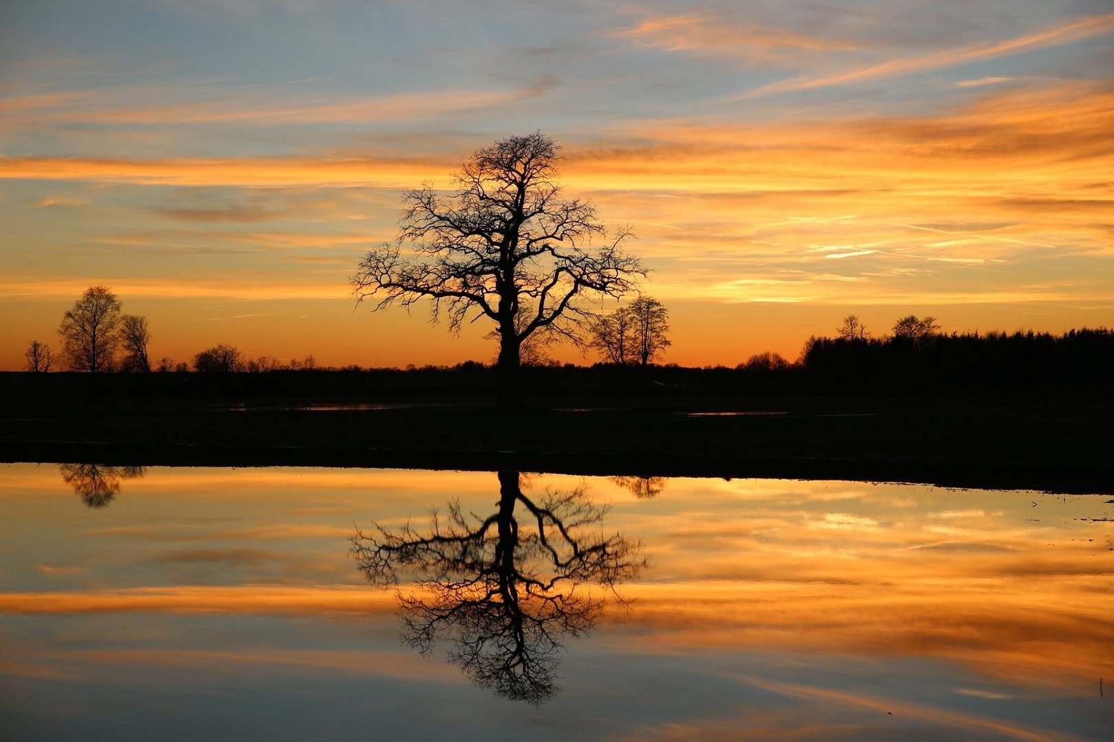 Abendstimmung im Donaumoos