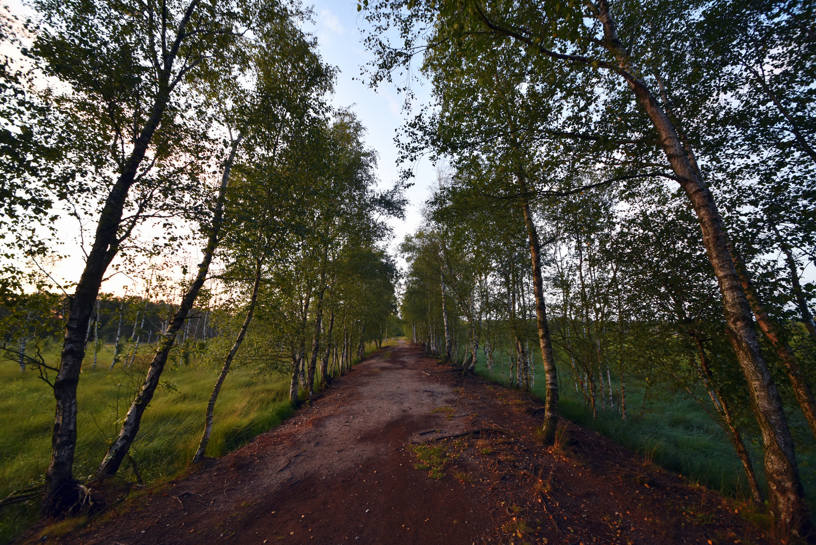 Abendstimmung im Dosenmoor