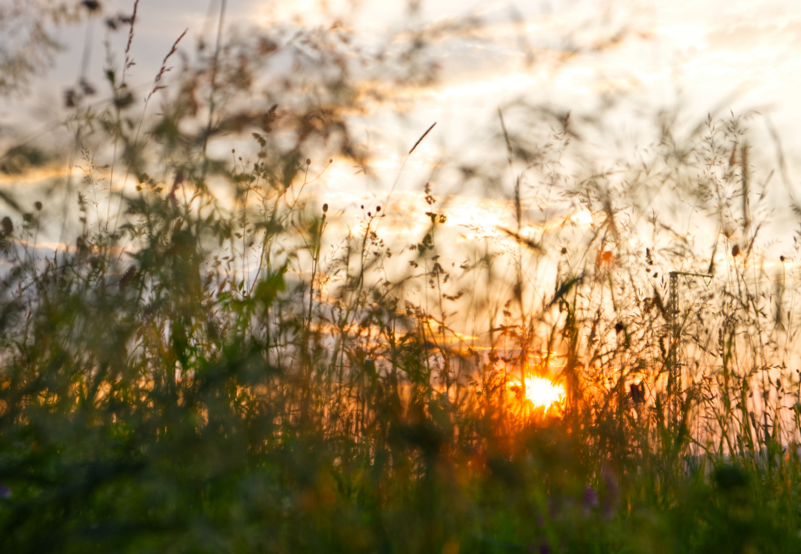 Abendstimmung im Dreisamtal