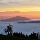 Abendstimmung im Eferdingerlandl mit Blick zum Toten Gebirge