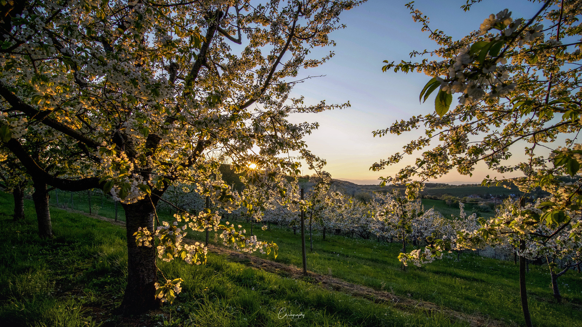 Abendstimmung im Eggenertal