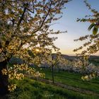 Abendstimmung im Eggenertal