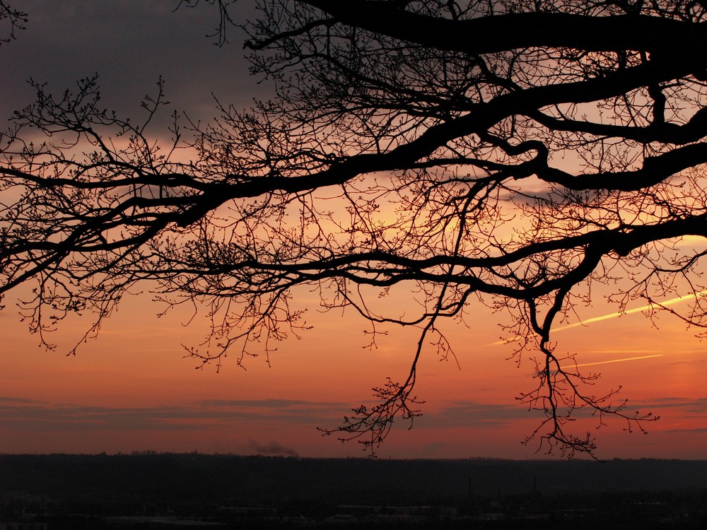 Abendstimmung im Elbtal