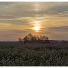 Abendstimmung im Emkum