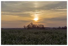 Abendstimmung im Emkum