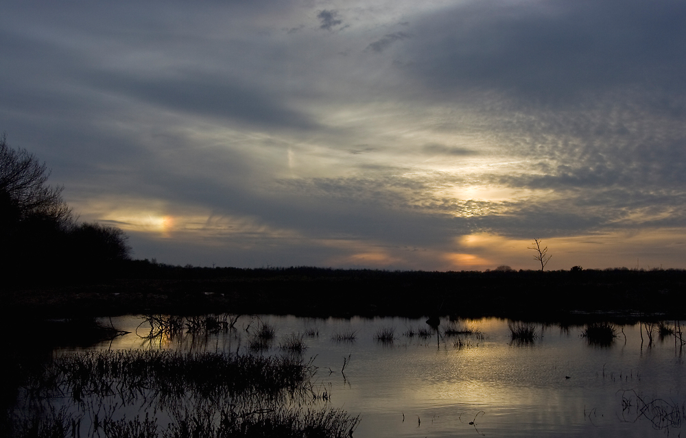 Abendstimmung im Emsdettener Venn