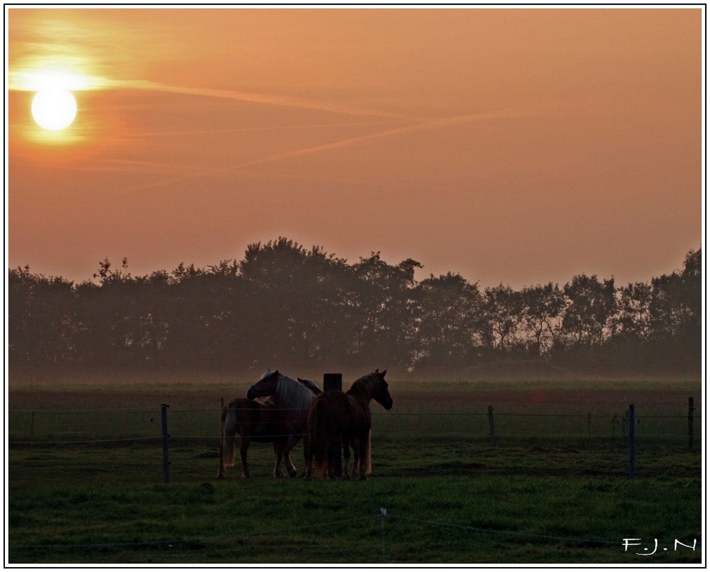 Abendstimmung im Emsland.