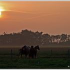 Abendstimmung im Emsland.