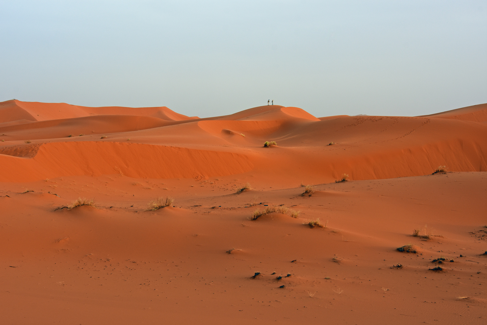 Abendstimmung im Erg Chebbi