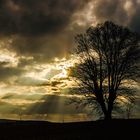 Abendstimmung im Erzgebirge