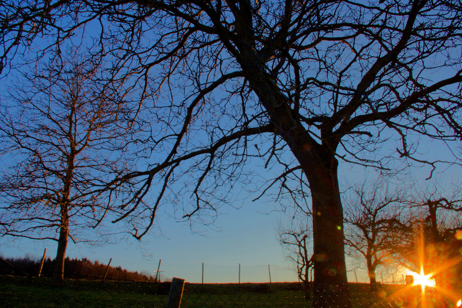 Abendstimmung im Februar 2014