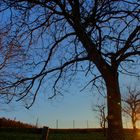 Abendstimmung im Februar 2014