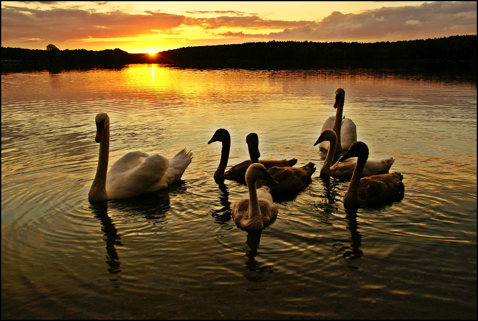 Abendstimmung im Frankenland