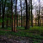 Abendstimmung im Frühling