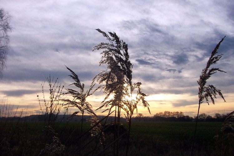 Abendstimmung im Frühwinter 02/03