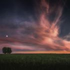 Abendstimmung im Gäu 