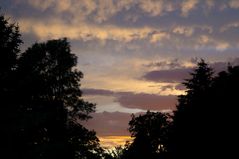 Abendstimmung im Garten