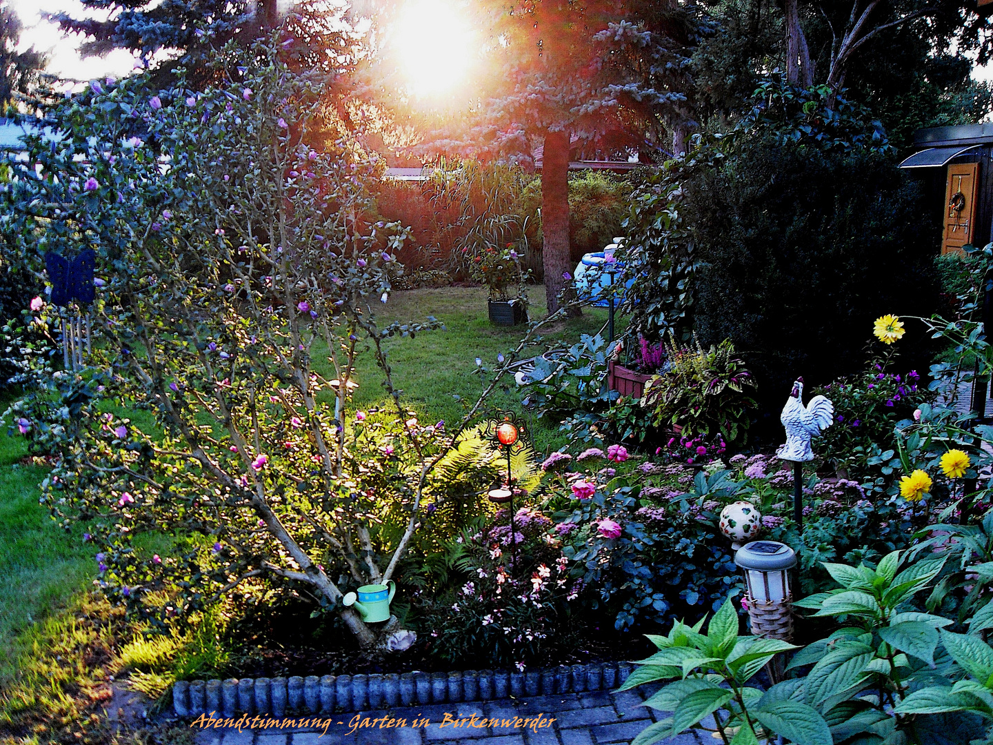 Abendstimmung im Garten in Birkenwerder