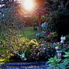 Abendstimmung im Garten in Birkenwerder