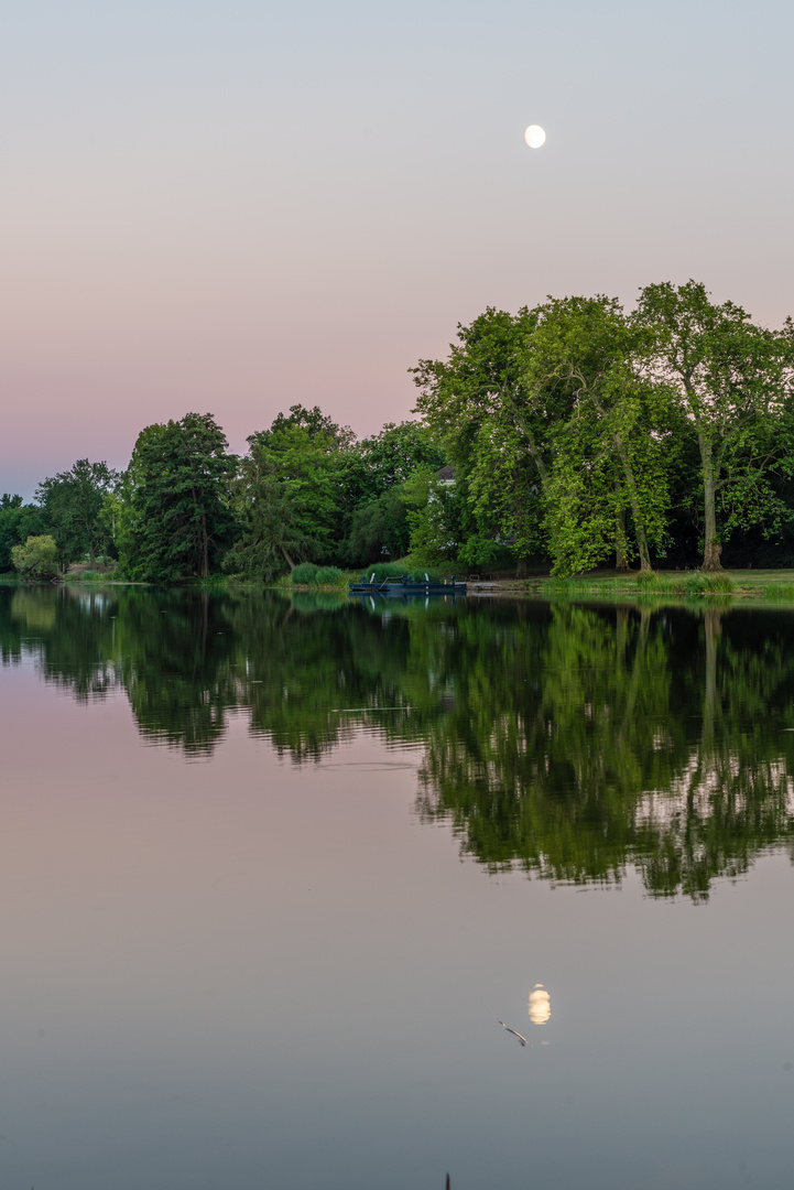 Abendstimmung im Gartenreich