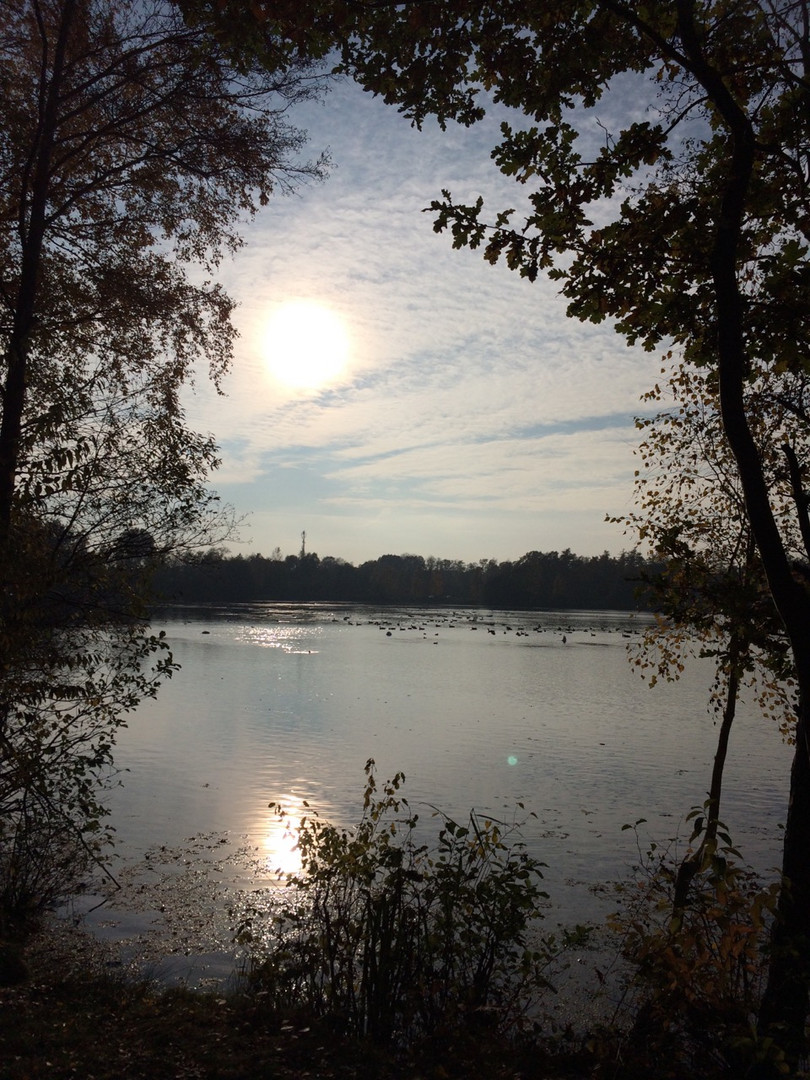 Abendstimmung im Gegenlicht