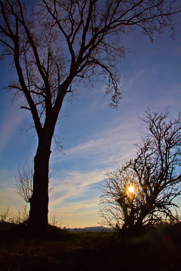 Abendstimmung im Gegenlicht