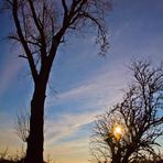 Abendstimmung im Gegenlicht