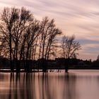 Abendstimmung im Gegenlicht (Spiegeltag 15022022)