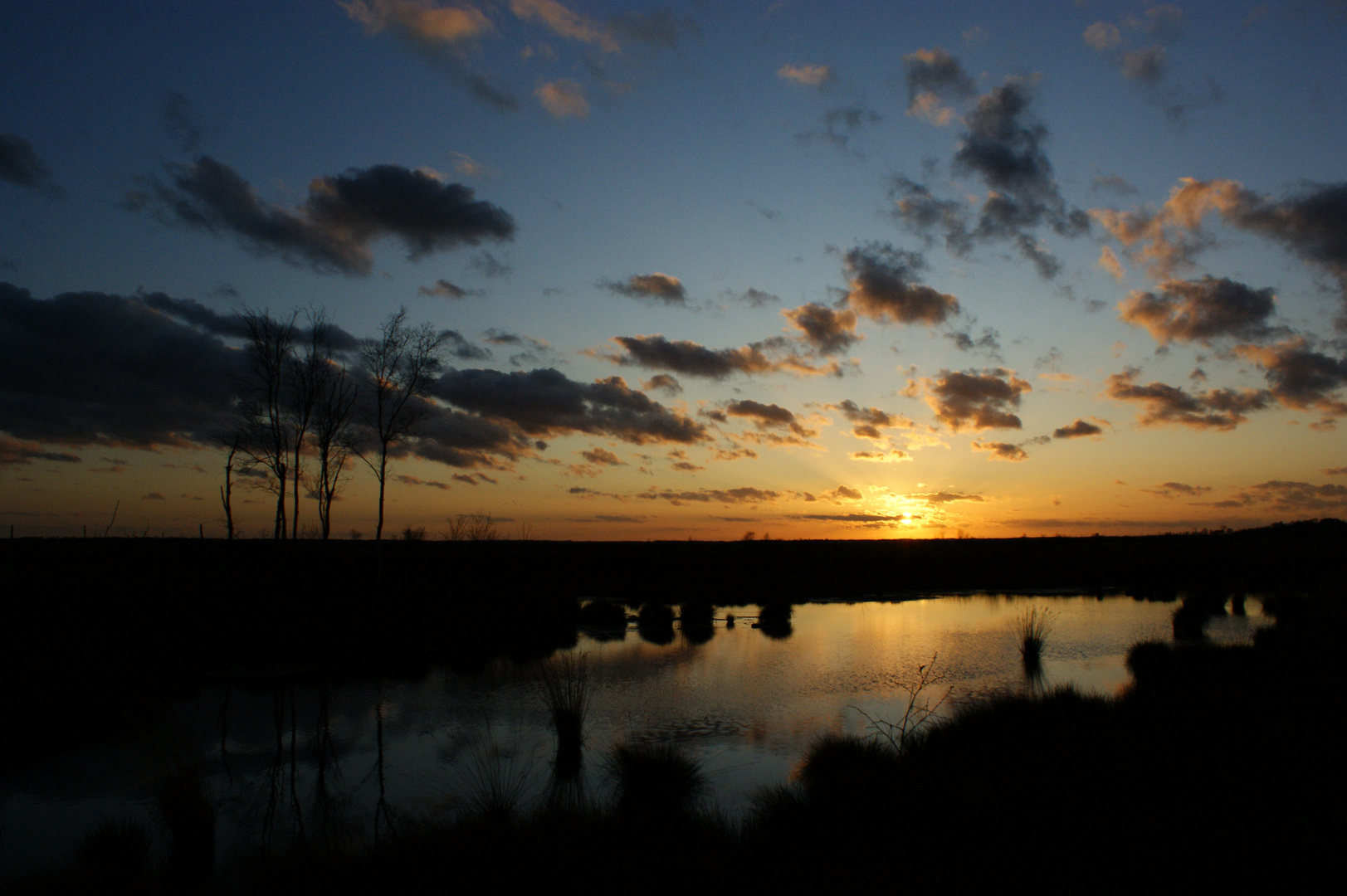 Abendstimmung im Goldenstedter Moor