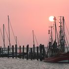 Abendstimmung im Hafen