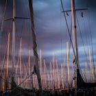 Abendstimmung im Hafen