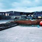 Abendstimmung im Hafen Dingle