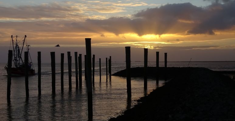 Abendstimmung im Hafen...