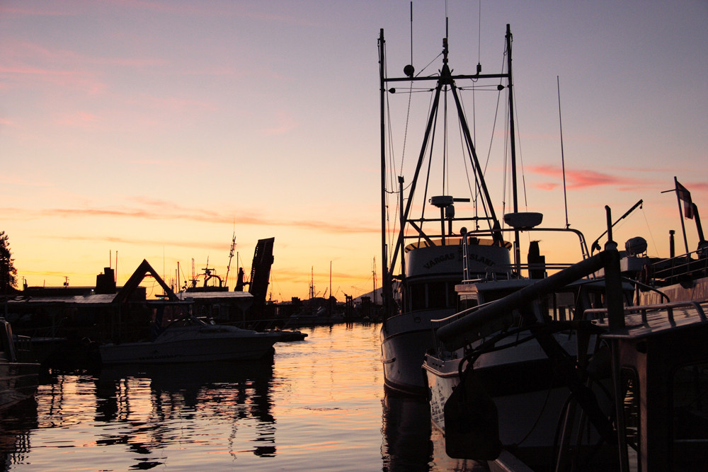 Abendstimmung im Hafen Tofinos